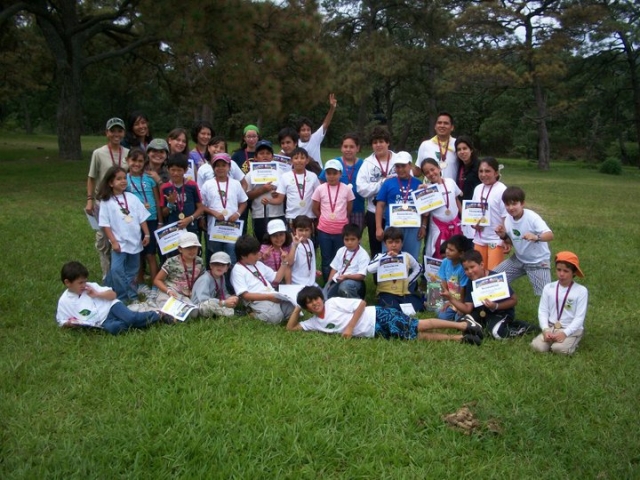  School groups 